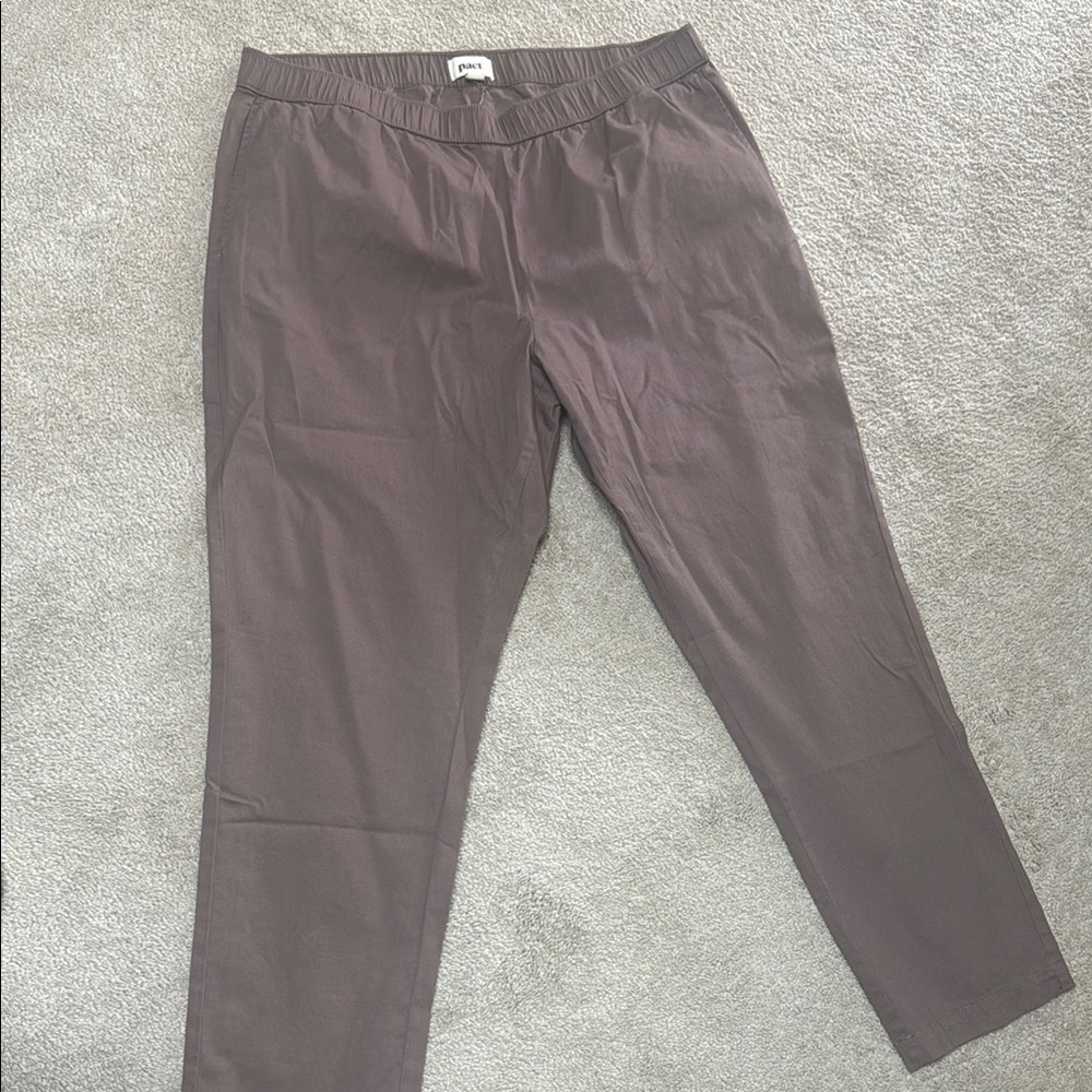 Pact Brown Casual Pants